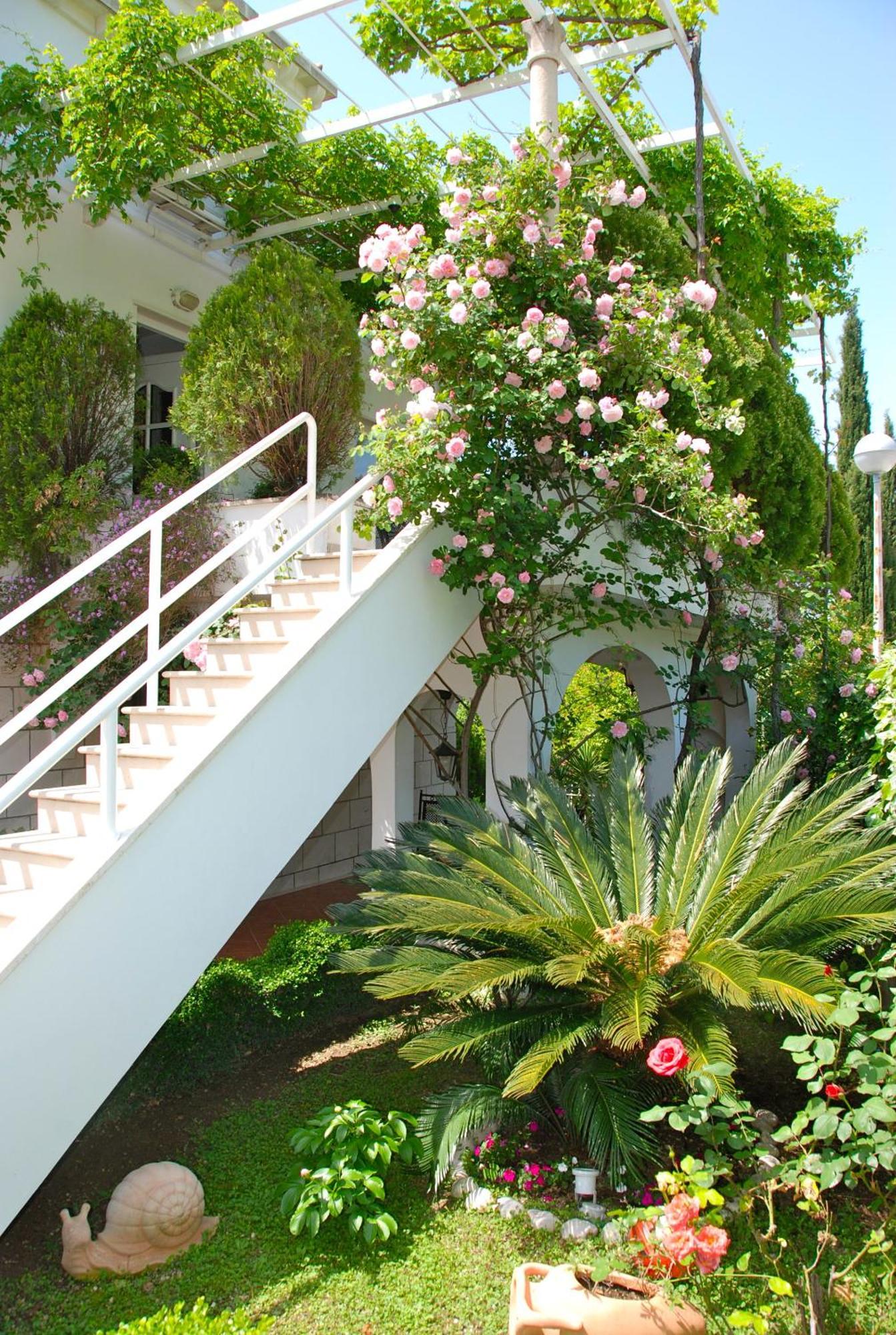 Villa Mediterranea Mlini Exteriör bild