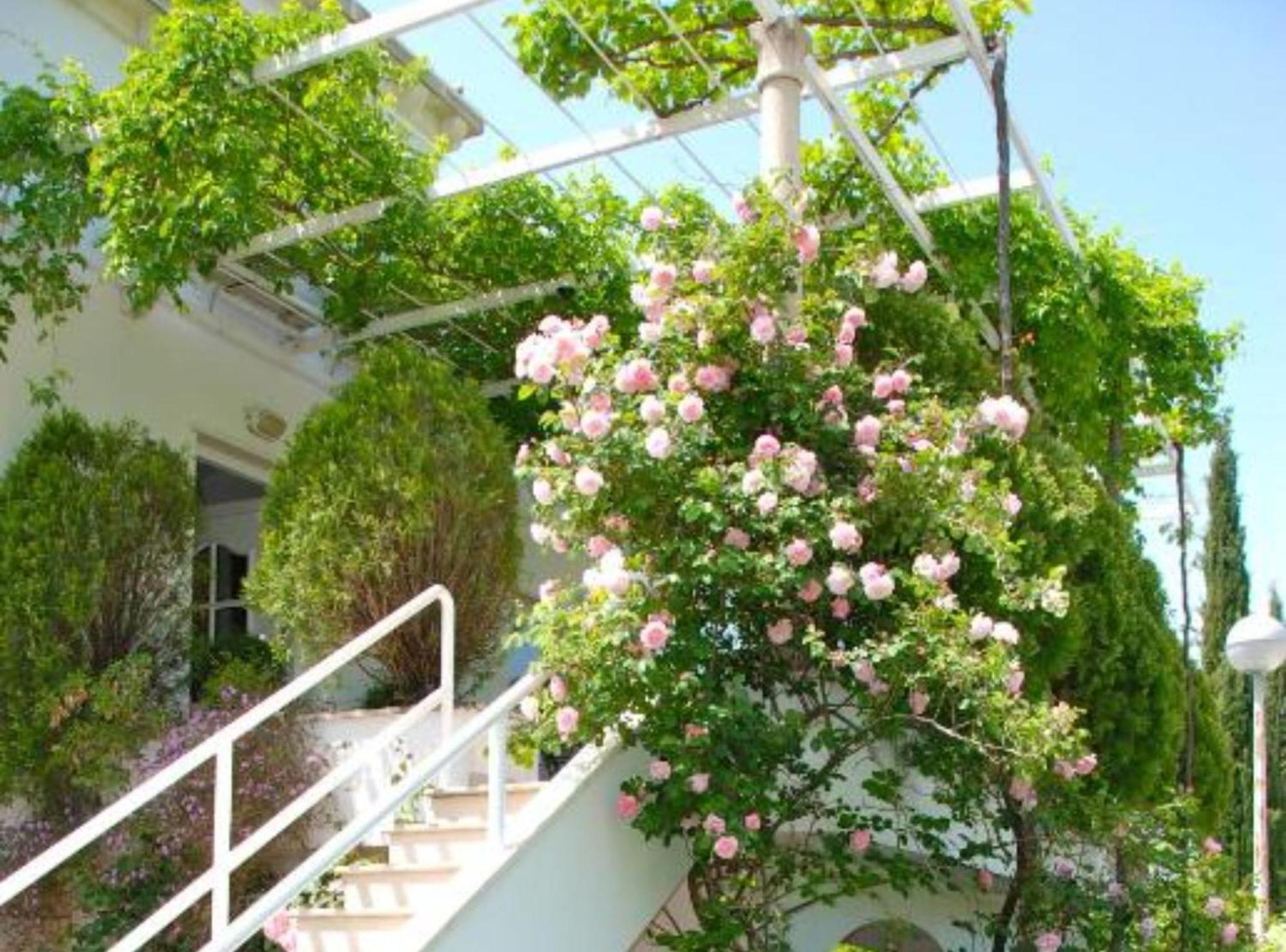 Villa Mediterranea Mlini Exteriör bild